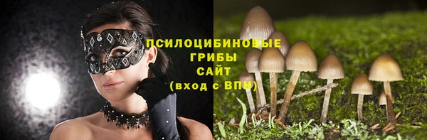 бошки Козельск