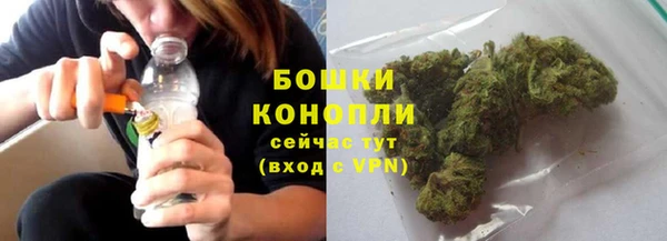 бошки Козельск