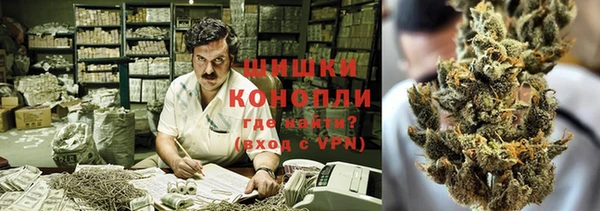 бошки Козельск