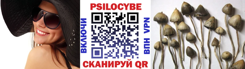 Галлюциногенные грибы Psilocybine cubensis  Купить закладки  Вилючинск 